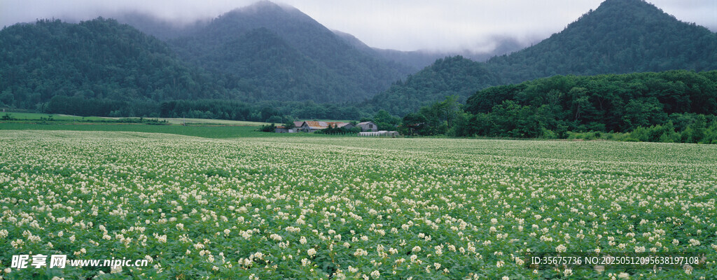 绿野山峦间的自然美景