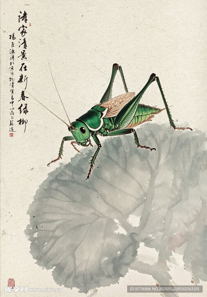 水墨蝈蝈