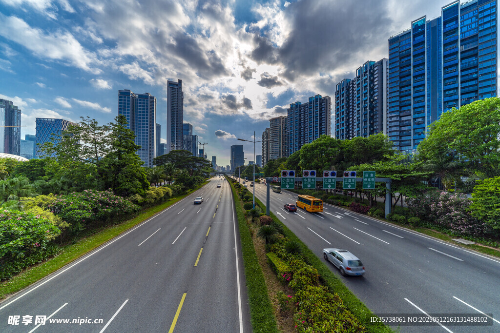 城市道路两旁的高楼绿树
