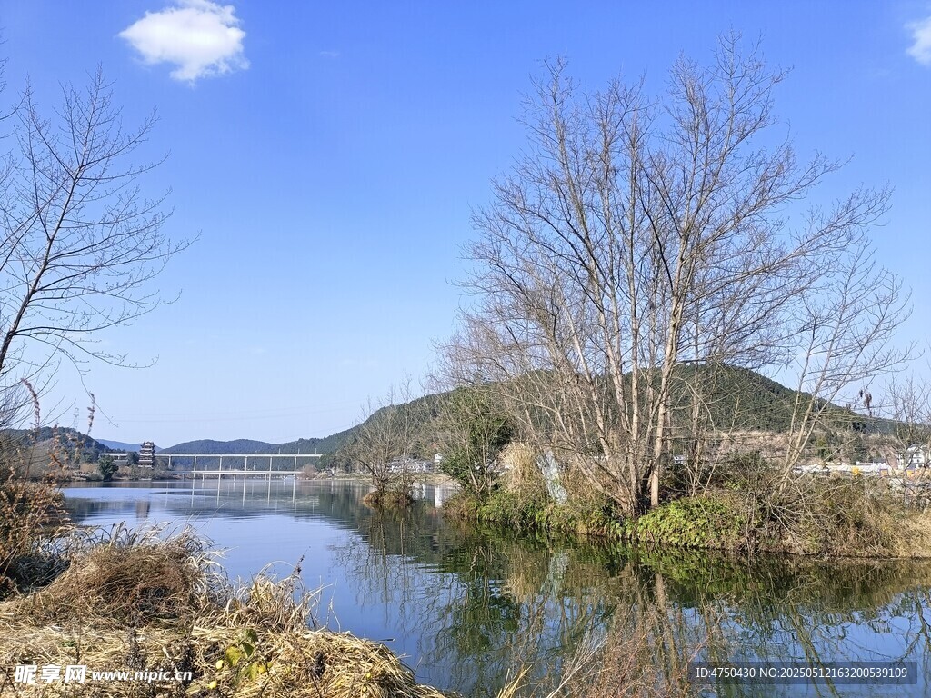 河畔冬日风景