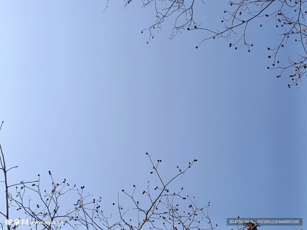 蓝天