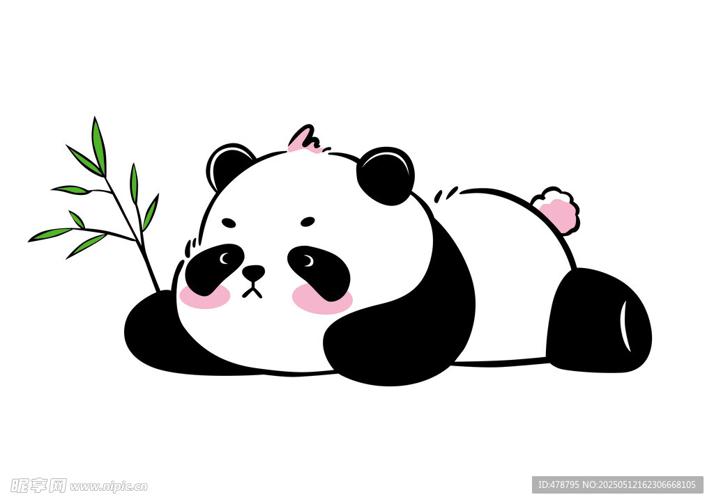 趴着的可爱熊猫吃竹子