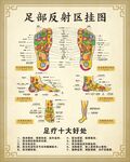足部反射图
