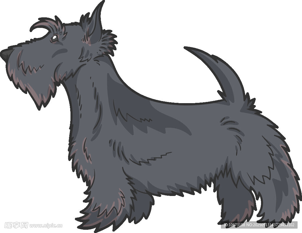 可爱苏格兰梗犬插画