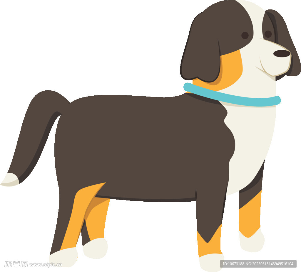 可爱三色伯尔尼山地犬