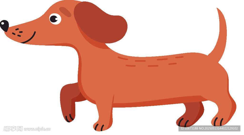 可爱腊肠犬欢快奔跑