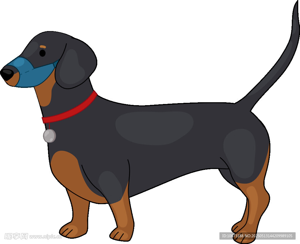 戴口罩的黑色腊肠犬