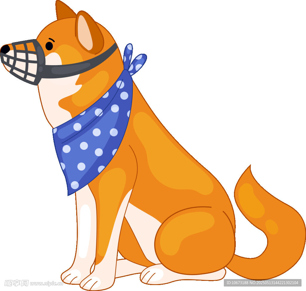 戴嘴套系围巾的可爱柴犬