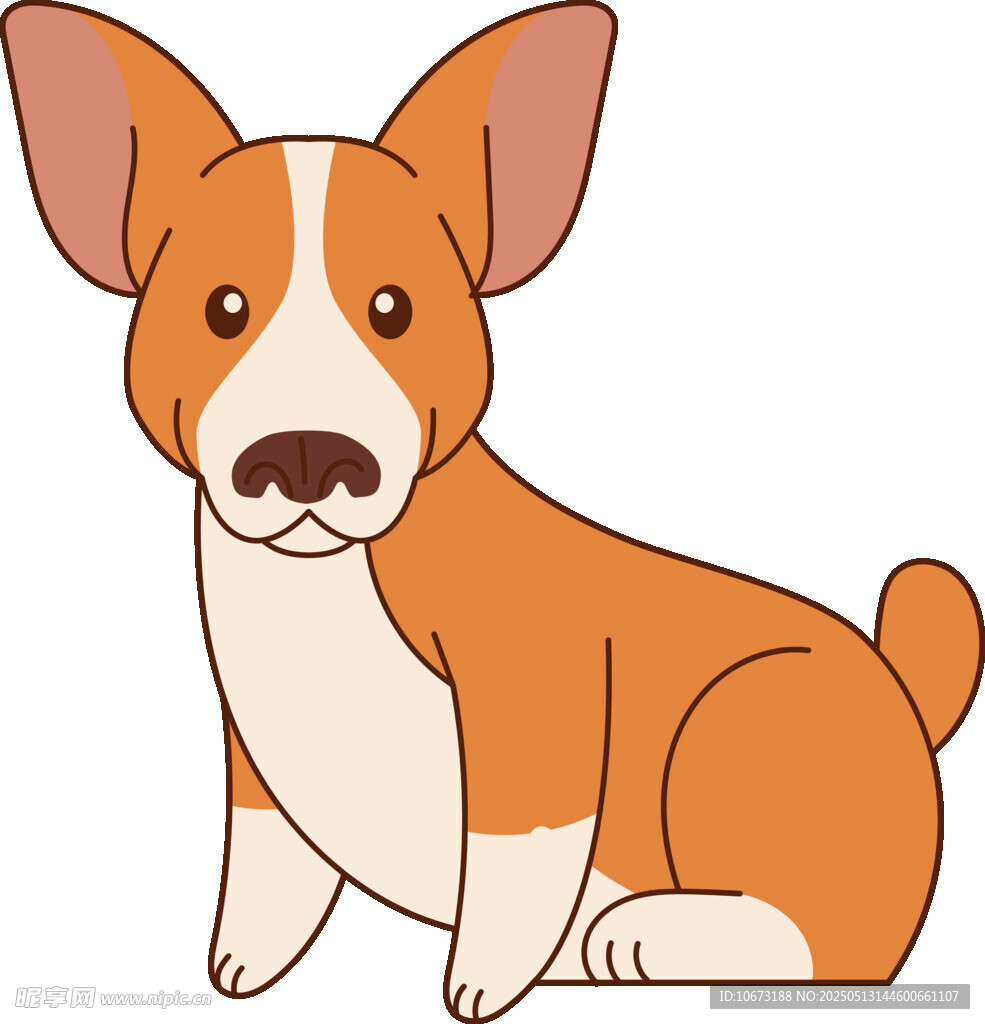 坐着的可爱短腿柯基犬