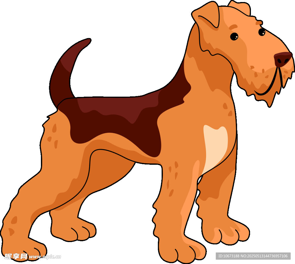 站立的棕褐色梗犬插画