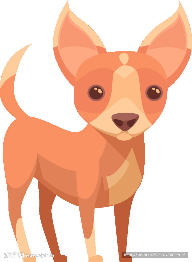 可爱站立小吉娃娃犬