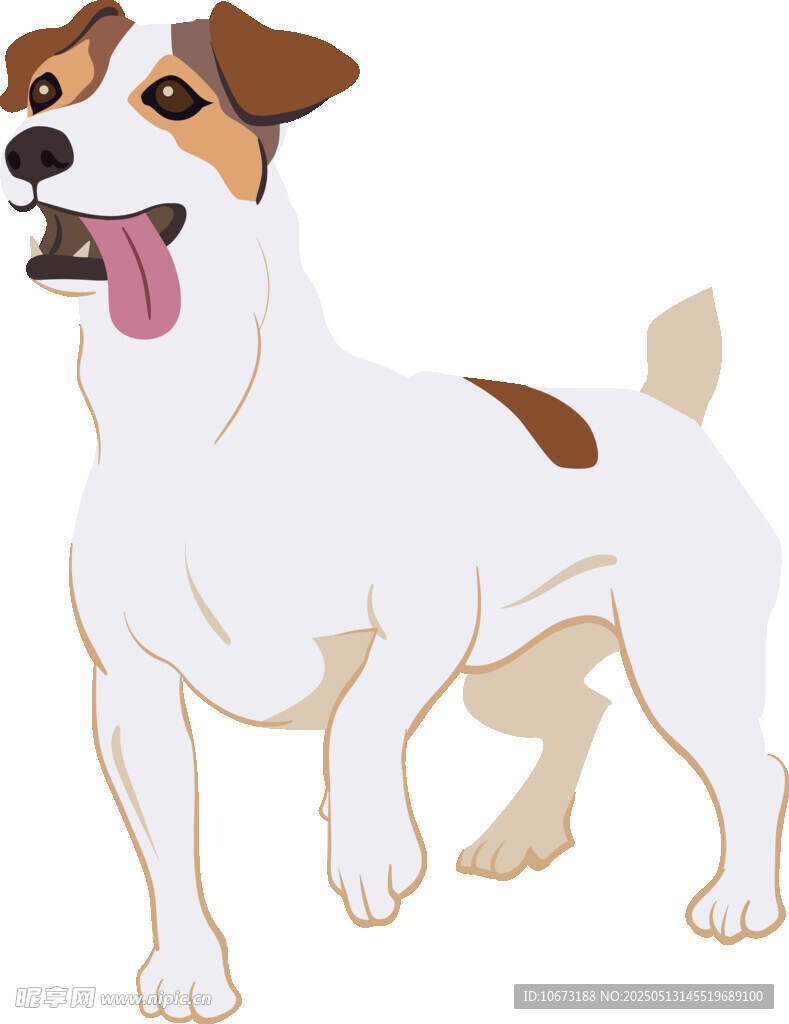 可爱杰克罗素梗犬形象
