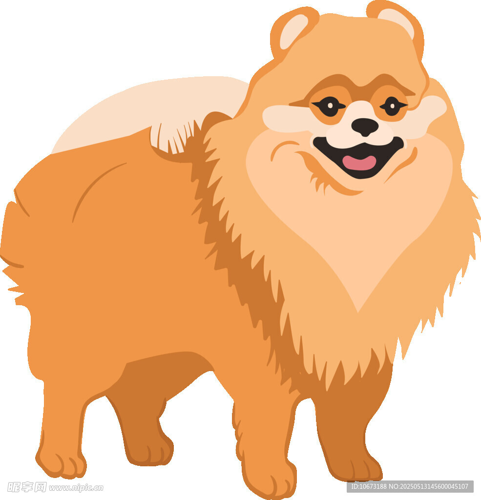 可爱的棕色博美犬插画