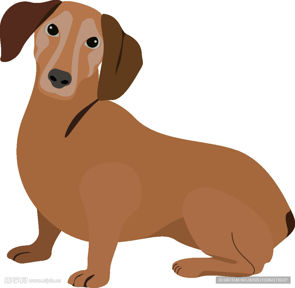 可爱腊肠犬插画