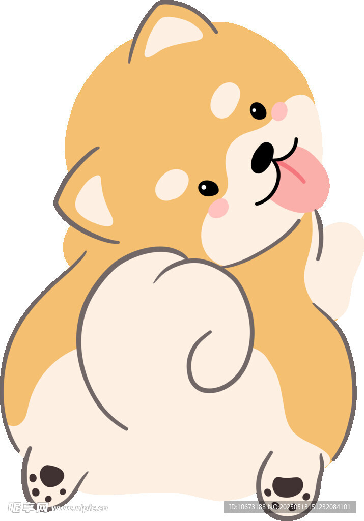 可爱柴犬吐舌卖萌