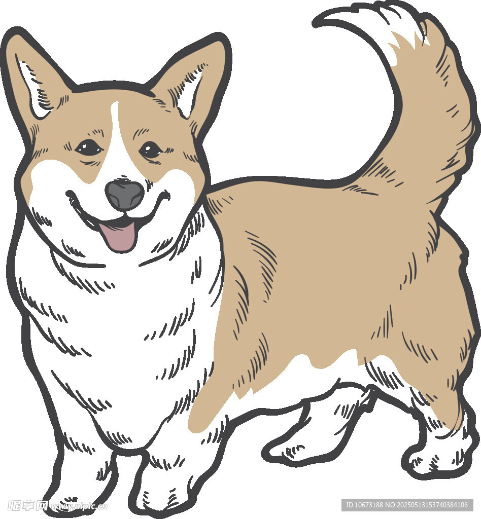 可爱柯基犬卡通形象