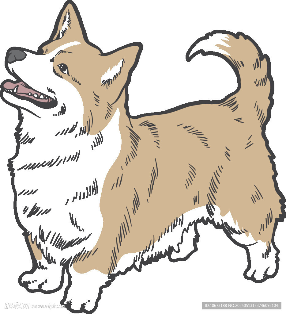 可爱站立柯基犬插画