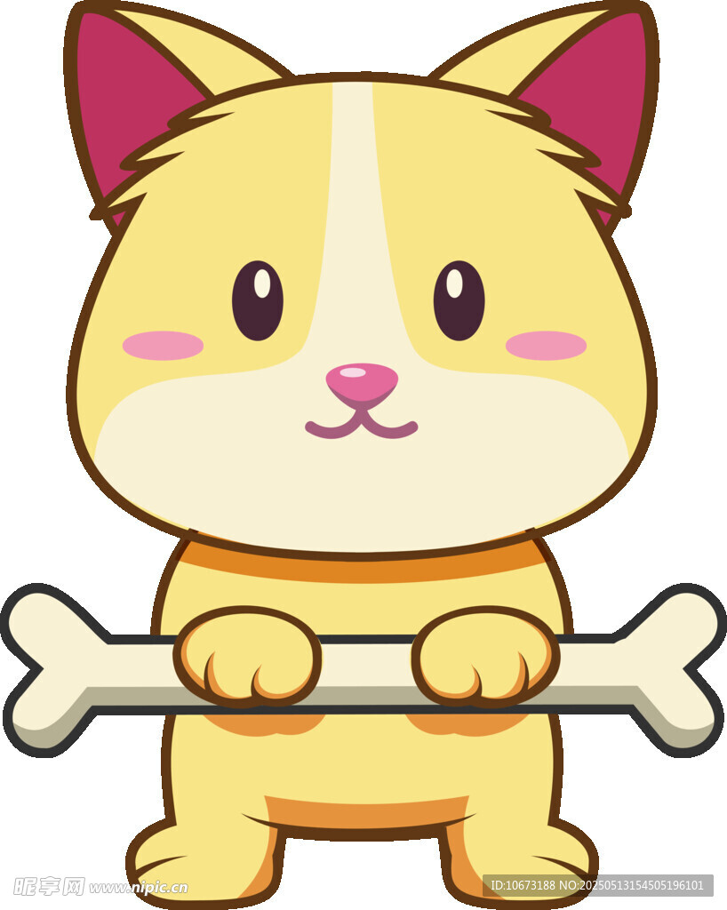 抱骨头的可爱猫咪