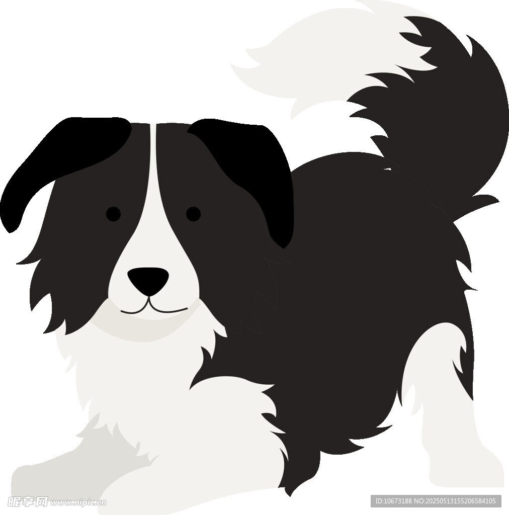 趴着的黑白边牧犬
