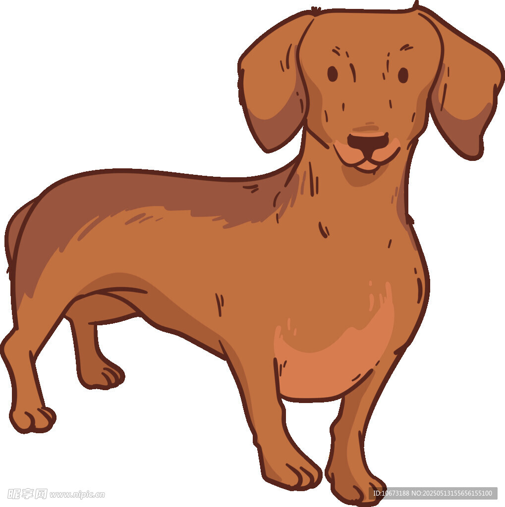 可爱棕色腊肠犬插画