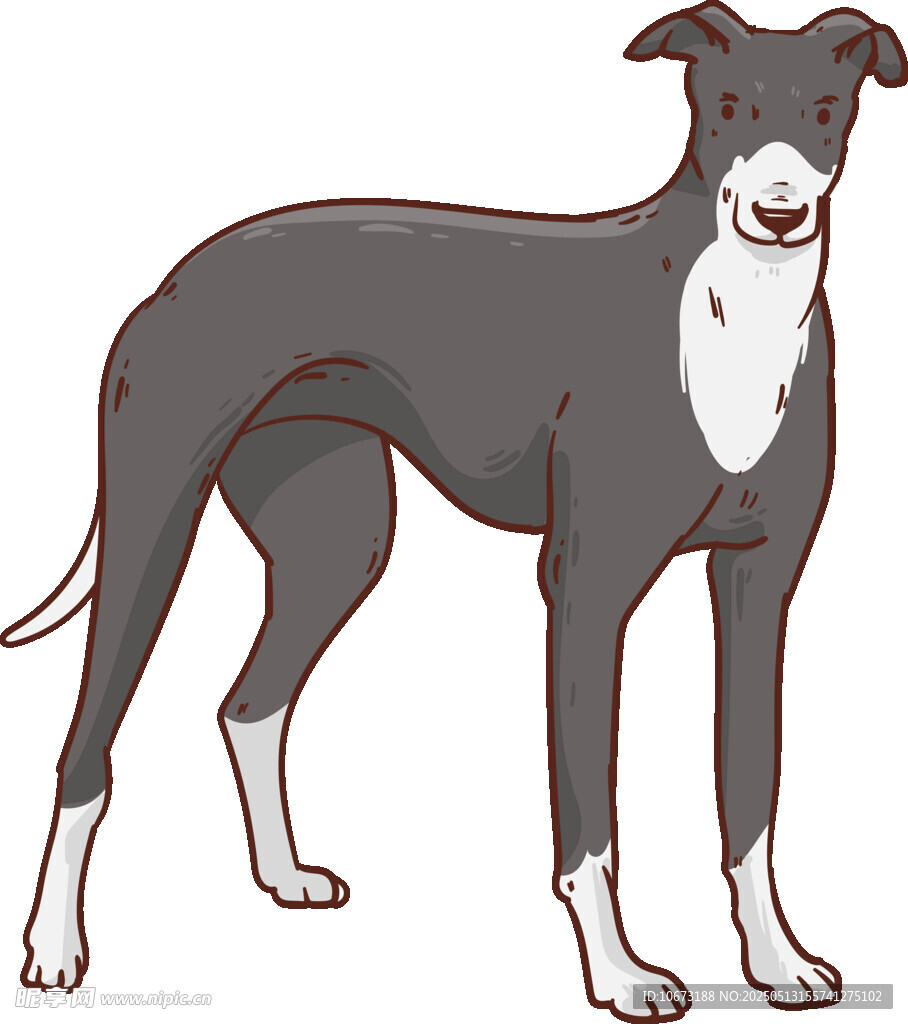 站立的灰黑色灵缇犬