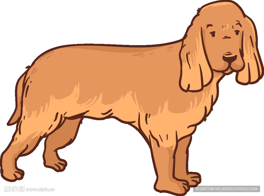 可爱棕色长毛猎犬插画