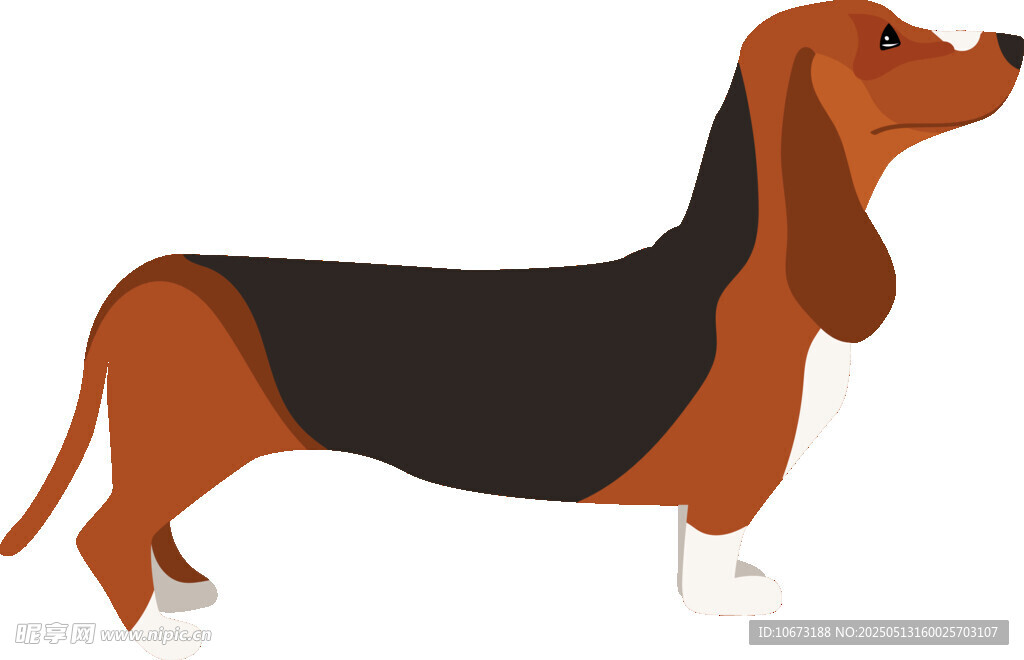 可爱短腿腊肠犬插画