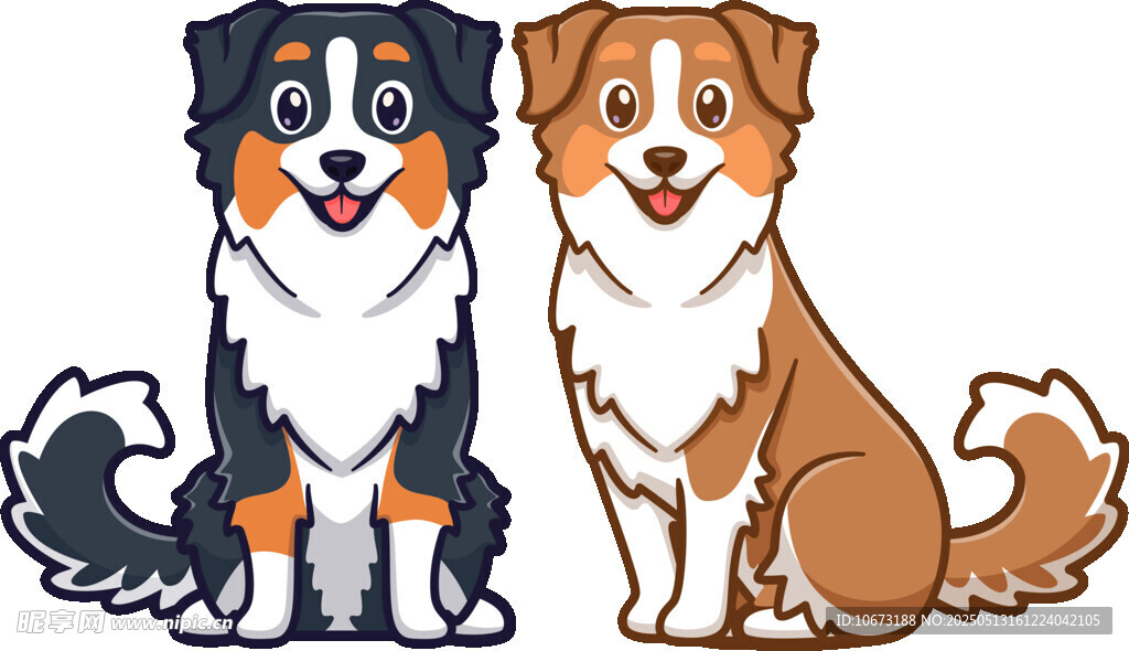 可爱边牧犬坐立形象