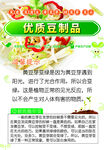 优质豆芽