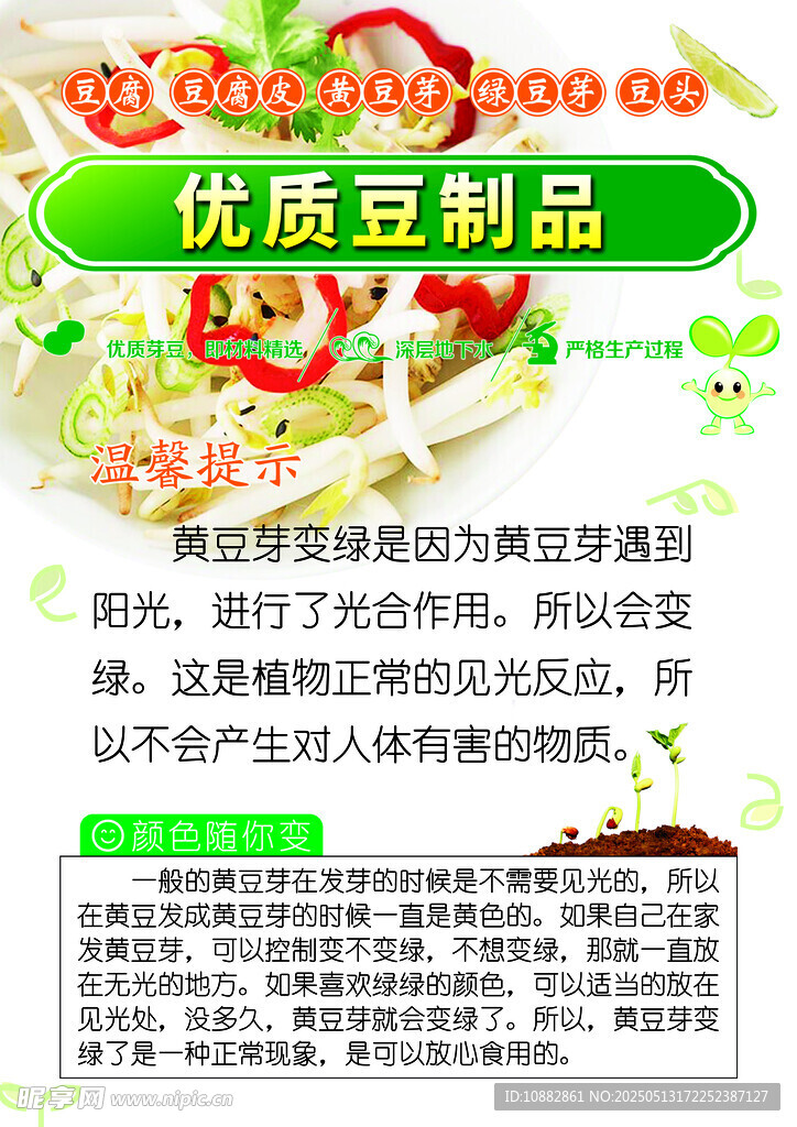 优质豆芽