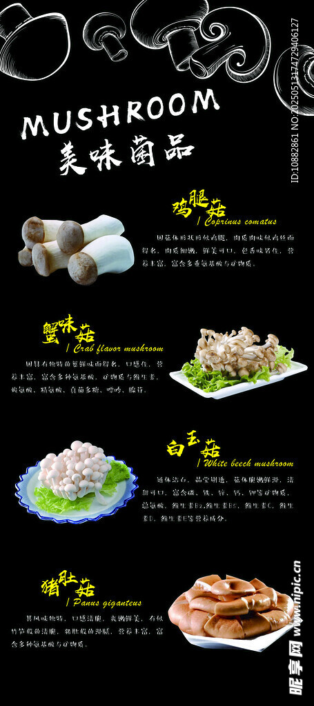 菌菇产品