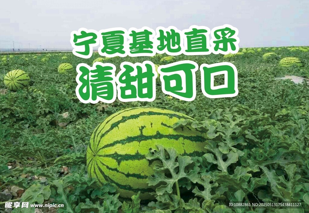 宁夏硒砂瓜