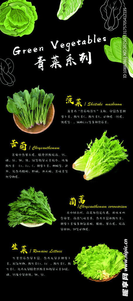 青菜 蔬菜