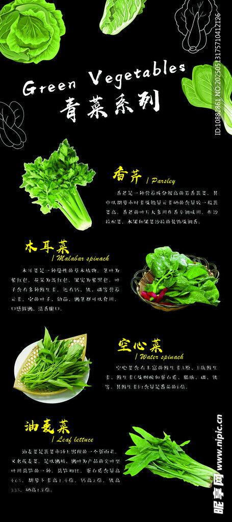 青菜 蔬菜 