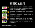 挑西瓜的技巧