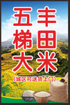 五丰梯田大米海报