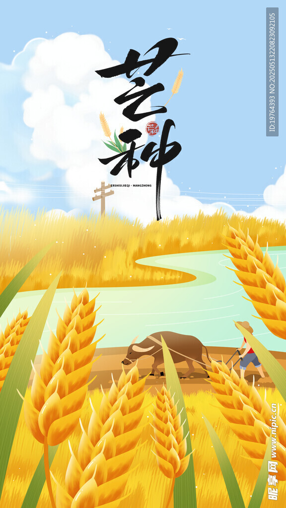 芒种
