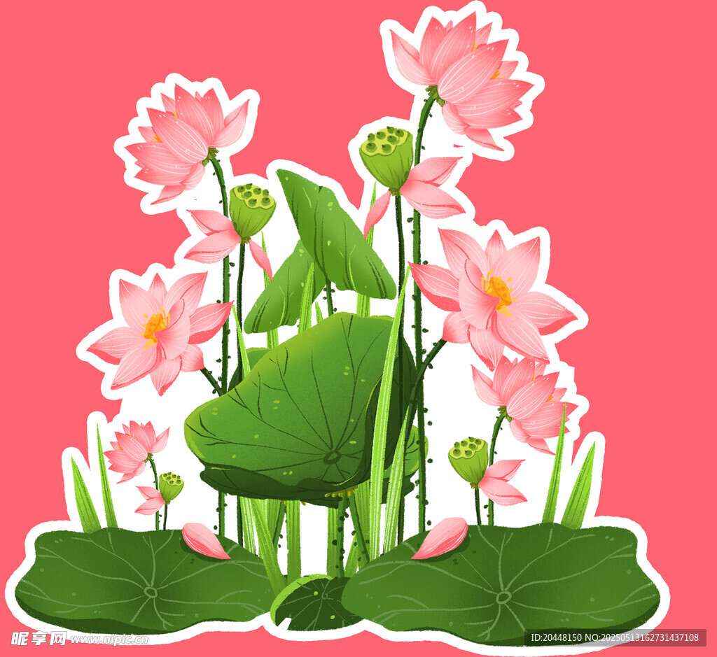 粉色荷花荷叶插画图案