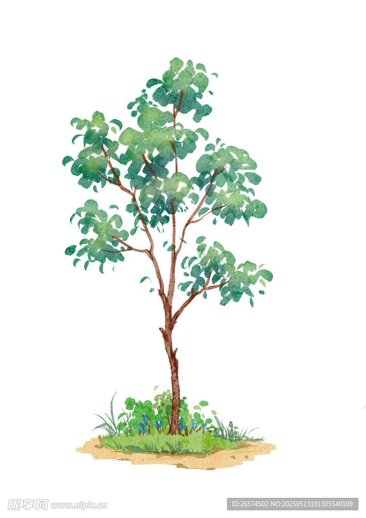 手绘水彩单棵绿树插画