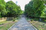 林荫步道 静谧园林景致