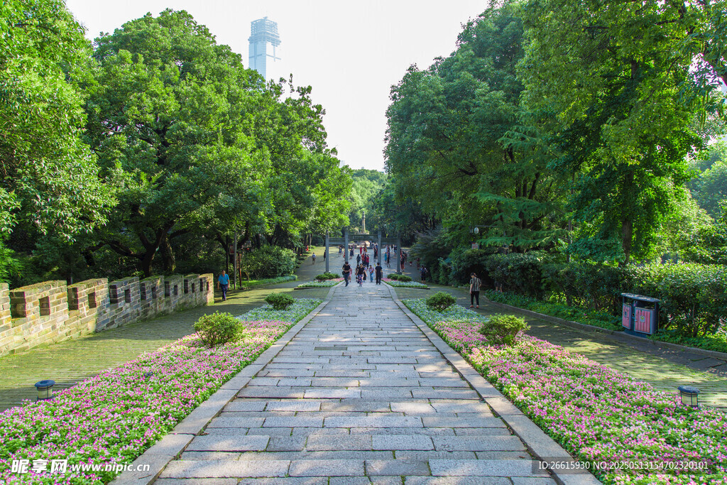 林荫步道 静谧园林景致