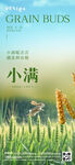 小满海报