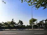 城市道路旁的绿树蓝天
