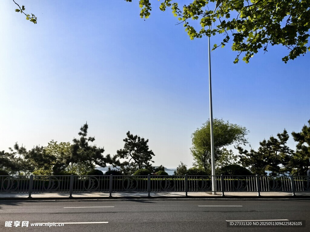 城市道路旁的绿树蓝天