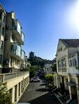 街道旁的精致住宅景观