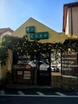 街边绿植环绕的黄色小店