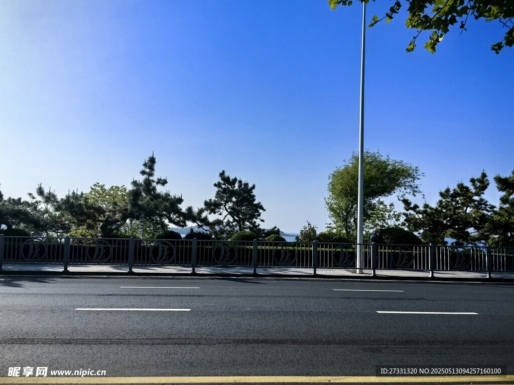 宽阔道路旁的绿树蓝天