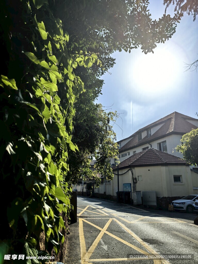 阳光洒落的静谧街道