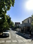 宁静街道的日常景象