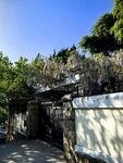 古朴庭院入口景致